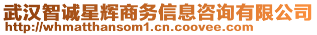 武漢智誠星輝商務(wù)信息咨詢有限公司