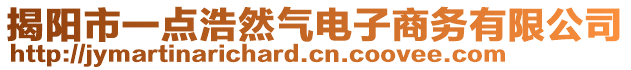 揭陽市一點浩然氣電子商務有限公司