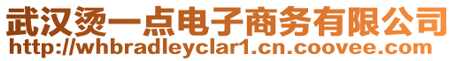 武漢燙一點(diǎn)電子商務(wù)有限公司