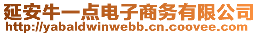 延安牛一點電子商務有限公司