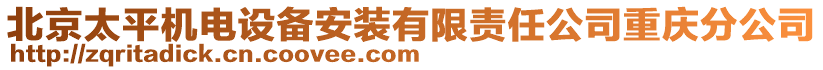 北京太平機(jī)電設(shè)備安裝有限責(zé)任公司重慶分公司