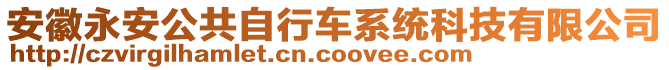 安徽永安公共自行車系統(tǒng)科技有限公司