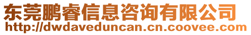 东莞鹏睿信息咨询有限公司