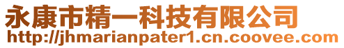 永康市精一科技有限公司