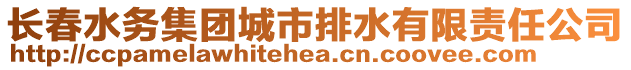長春水務集團城市排水有限責任公司