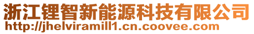 浙江鋰智新能源科技有限公司