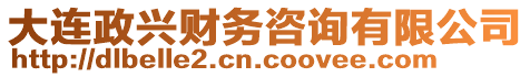 大連政興財務(wù)咨詢有限公司