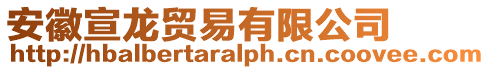 安徽宣龍貿(mào)易有限公司