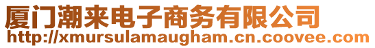 廈門潮來電子商務有限公司