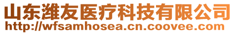 山東濰友醫(yī)療科技有限公司