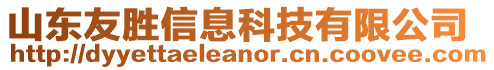 山東友勝信息科技有限公司