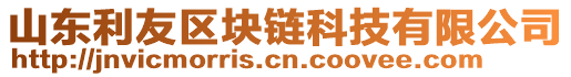 山東利友區(qū)塊鏈科技有限公司