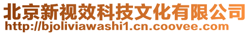 北京新視效科技文化有限公司