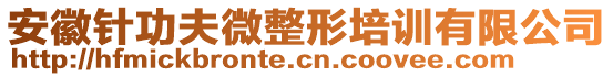 安徽針功夫微整形培訓(xùn)有限公司