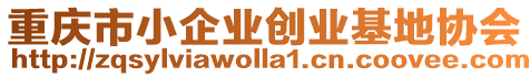 重慶市小企業(yè)創(chuàng)業(yè)基地協(xié)會