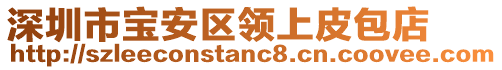 深圳市寶安區(qū)領(lǐng)上皮包店