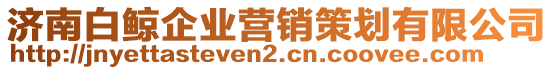 濟南白鯨企業(yè)營銷策劃有限公司