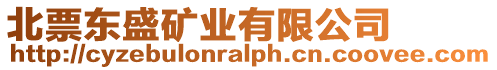 北票東盛礦業(yè)有限公司