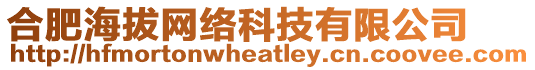 合肥海拔網(wǎng)絡(luò)科技有限公司