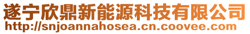 遂寧欣鼎新能源科技有限公司