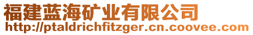 福建藍(lán)海礦業(yè)有限公司