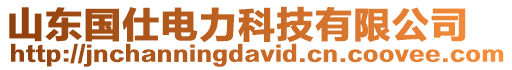 山東國仕電力科技有限公司