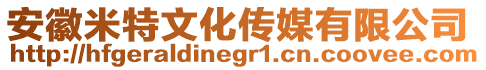 安徽米特文化傳媒有限公司