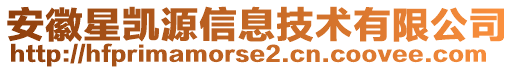 安徽星凱源信息技術(shù)有限公司