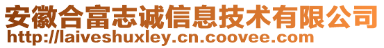 安徽合富志誠信息技術(shù)有限公司