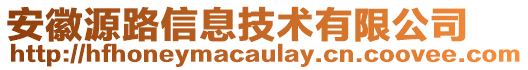 安徽源路信息技術有限公司