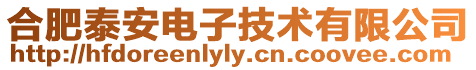 合肥泰安電子技術(shù)有限公司