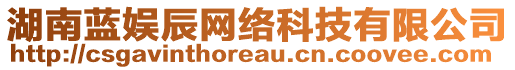 湖南藍(lán)娛辰網(wǎng)絡(luò)科技有限公司