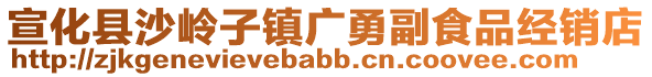 宣化縣沙嶺子鎮(zhèn)廣勇副食品經(jīng)銷店