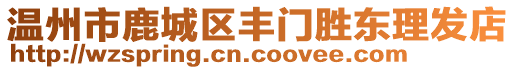 温州市鹿城区丰门胜东理发店