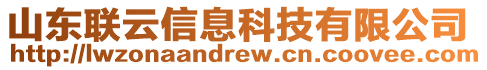 山東聯云信息科技有限公司