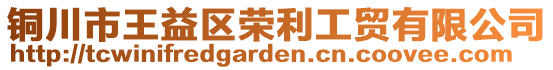 銅川市王益區榮利工貿有限公司