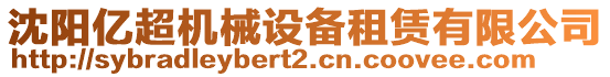 沈陽(yáng)億超機(jī)械設(shè)備租賃有限公司