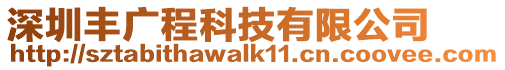 深圳豐廣程科技有限公司