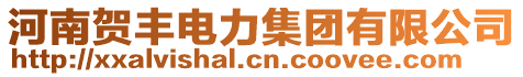 河南賀豐電力集團(tuán)有限公司
