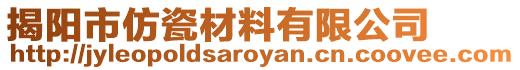 揭陽市仿瓷材料有限公司