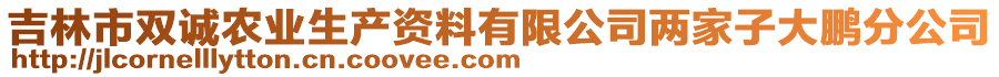 吉林市雙誠(chéng)農(nóng)業(yè)生產(chǎn)資料有限公司兩家子大鵬分公司