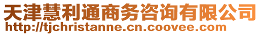 天津慧利通商務(wù)咨詢有限公司