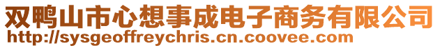 雙鴨山市心想事成電子商務(wù)有限公司