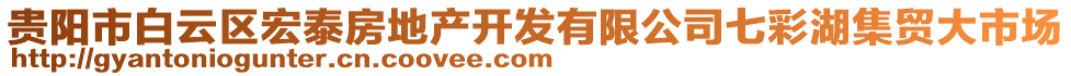 貴陽市白云區(qū)宏泰房地產(chǎn)開發(fā)有限公司七彩湖集貿(mào)大市場