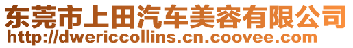 東莞市上田汽車美容有限公司