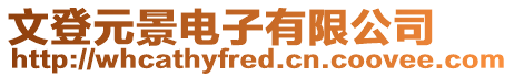 文登元景電子有限公司