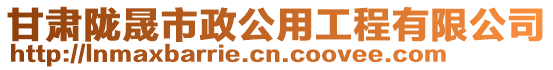 甘肅隴晟市政公用工程有限公司