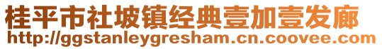 桂平市社坡鎮(zhèn)經(jīng)典壹加壹發(fā)廊