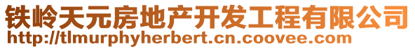 鐵嶺天元房地產(chǎn)開(kāi)發(fā)工程有限公司