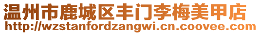 溫州市鹿城區(qū)豐門李梅美甲店